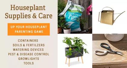 Houseplant Tools