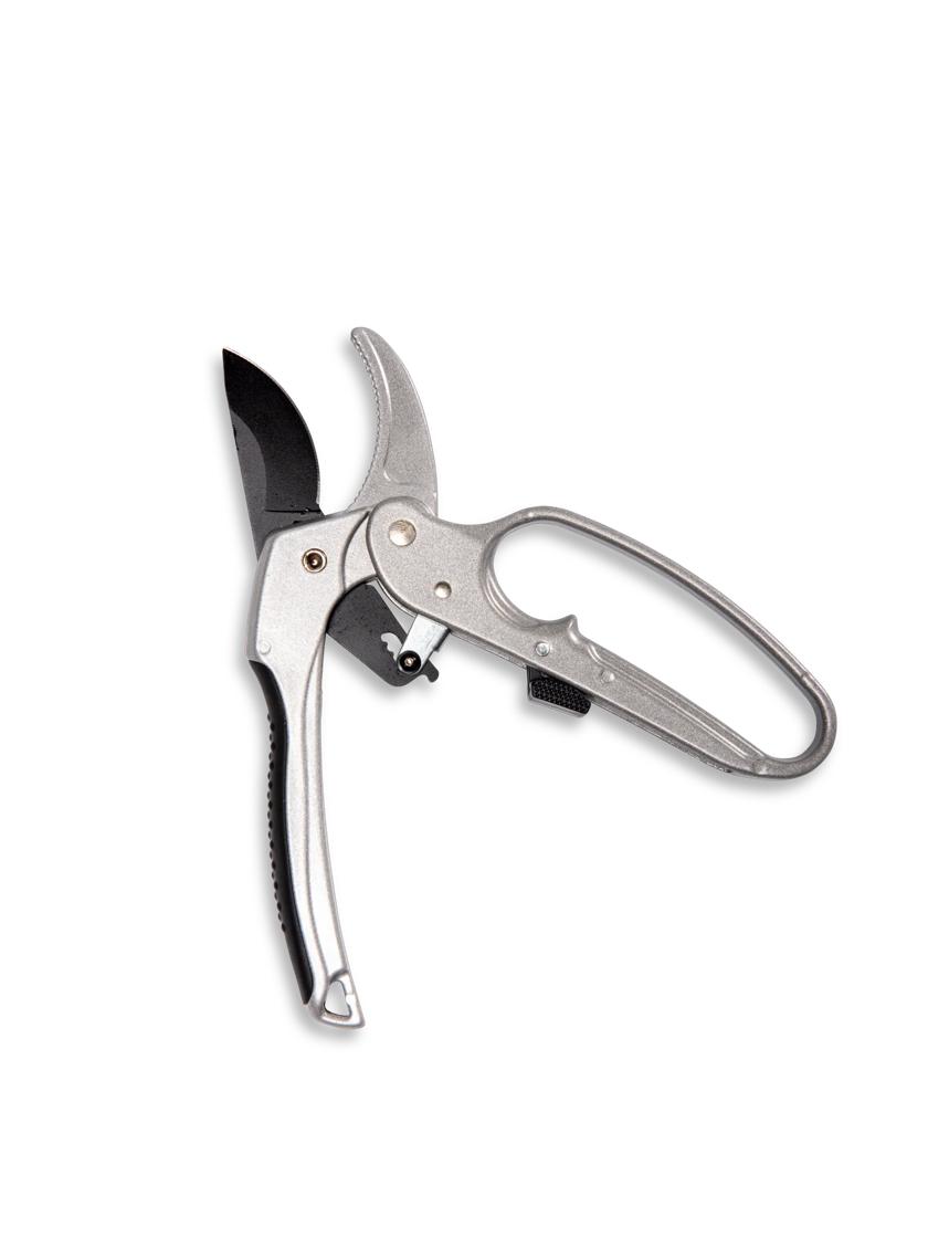Ratchet Pruner