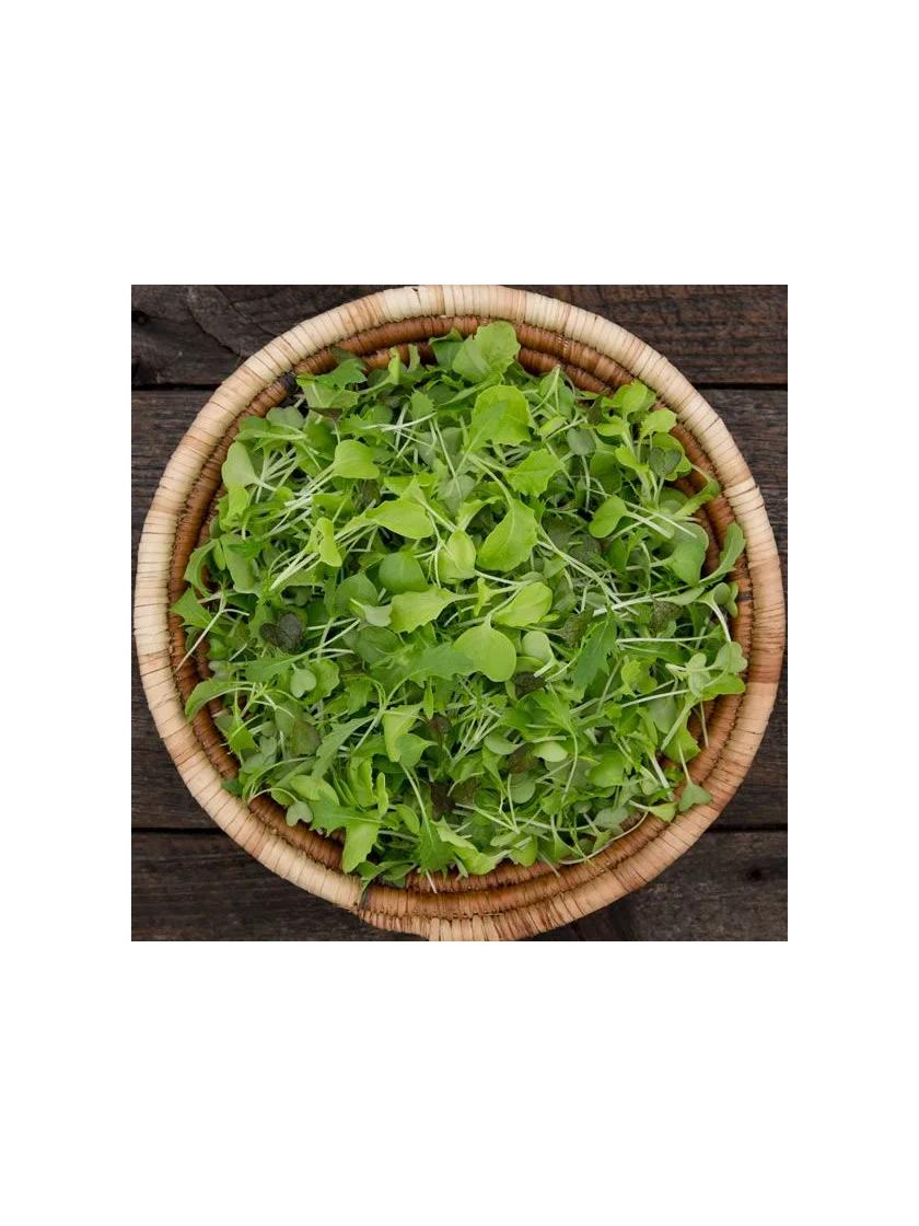Silk Road Organic Microgreens Seed Mix