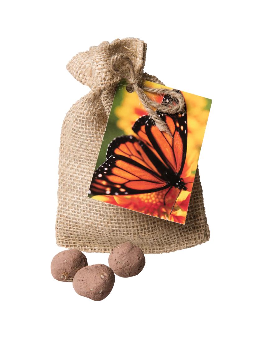 Butterfly Garden-Seed Mat