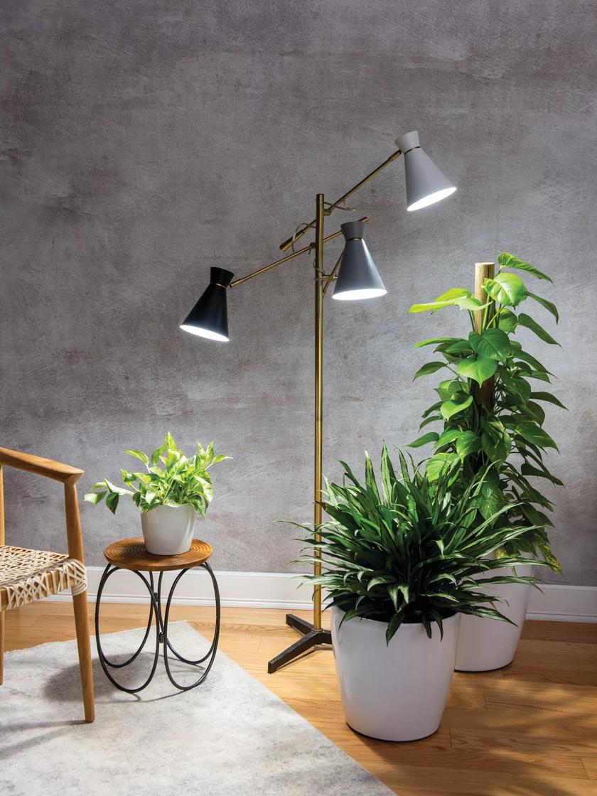 serie rekenkundig schoorsteen 3-Arm Floor Lamp for Plants | Gardener's Supply