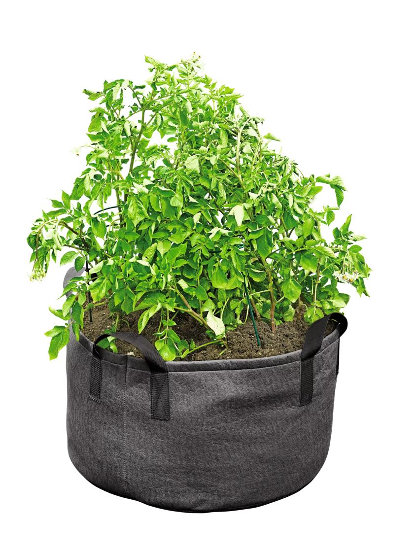 Gardener's Best Jumbo Potato Grow Bag - Black