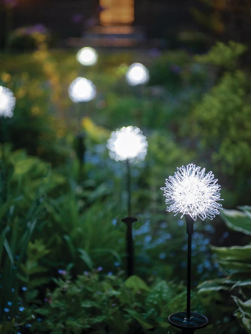 Solar dandelion stake deals lights