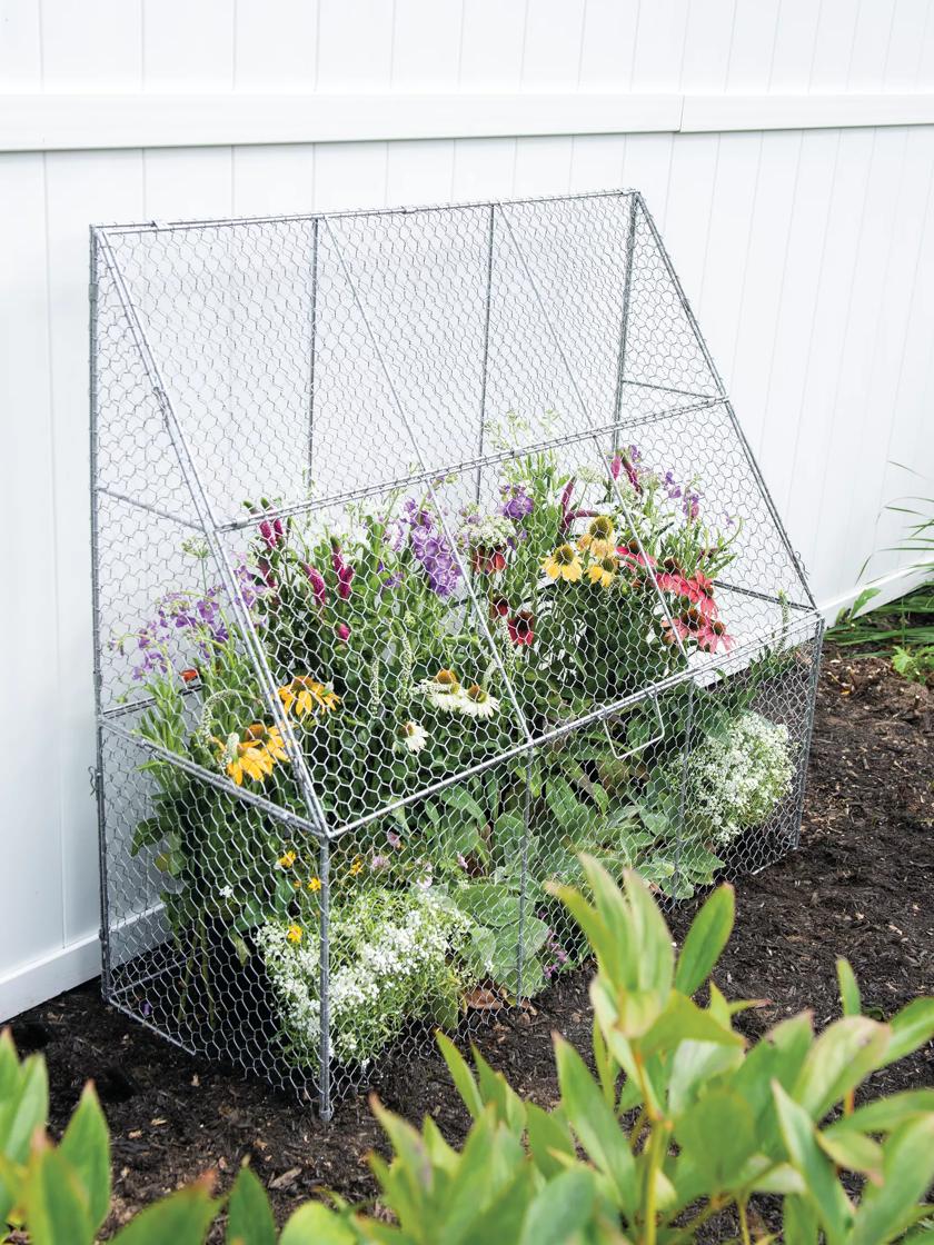 Chicken Wire Mesh Used in Garden as Fence, Raised Bed, Trellis