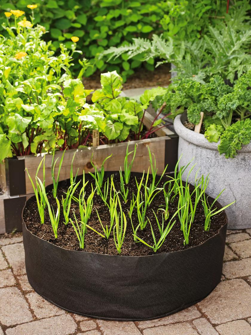 Garlic Grow Bag Kit