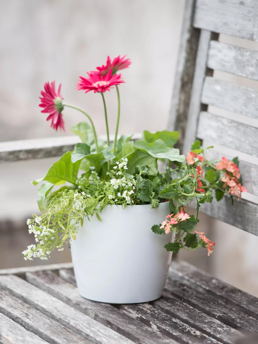 Viva Small Round Indoor Outdoor Self-Watering Pot