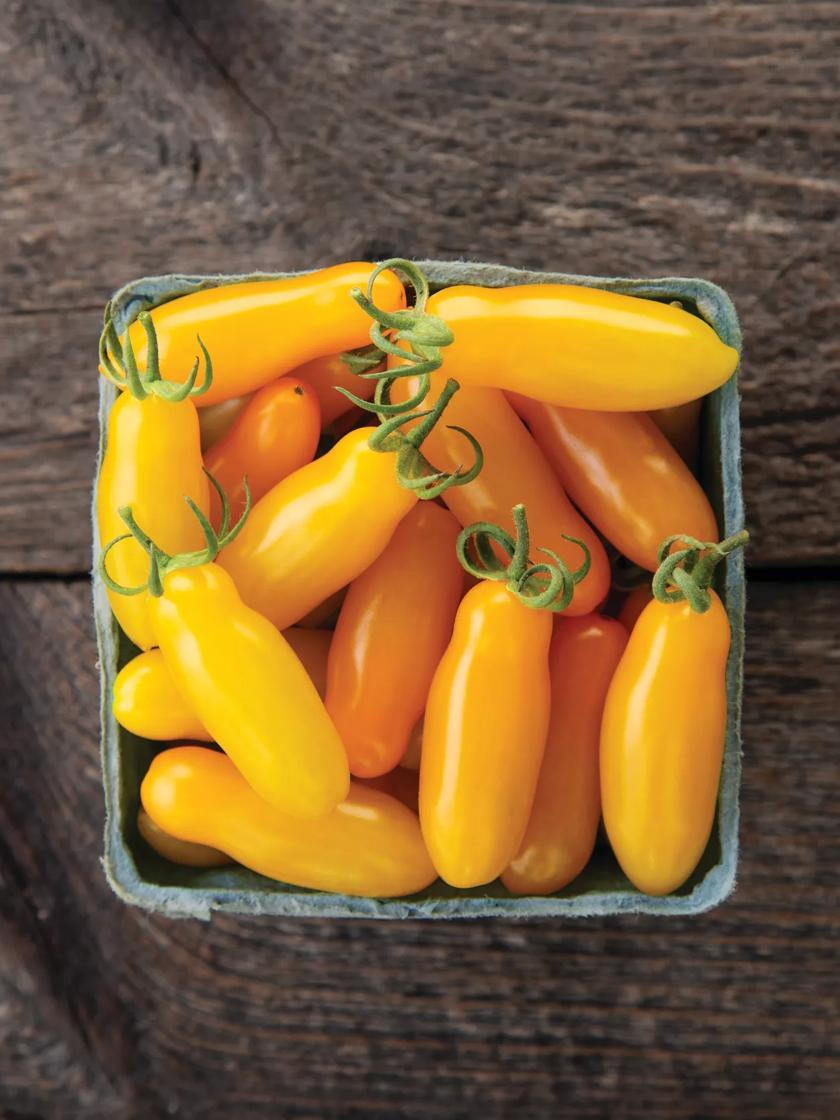 ★TAMATO★ Tomato 'Country Limetto H' 10 Seeds (Solanum lycopersicum