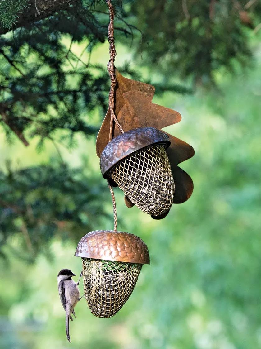 Unique Acorn Bird Feeder | Gardeners Supply