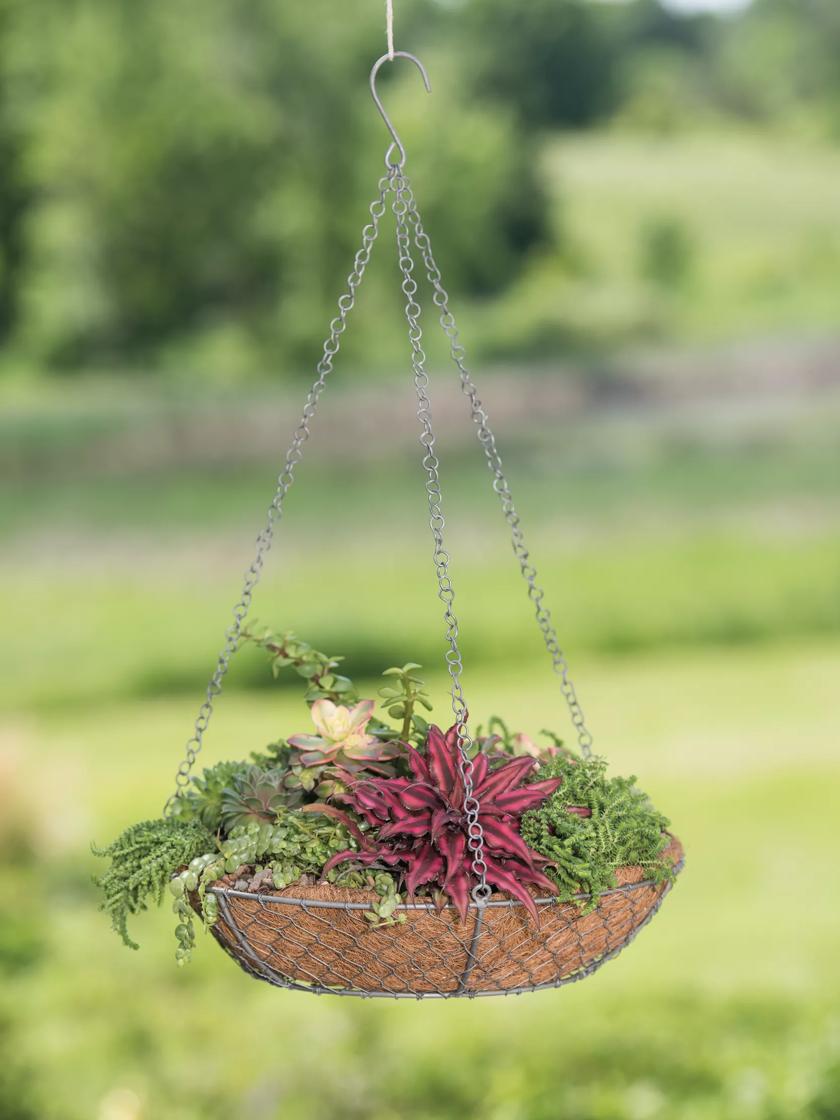 Chicken Wire Mechanics for a Wicker Basket Arrangement for the