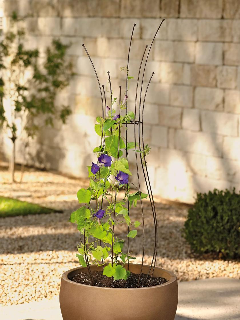 Jardin Pot Trellis