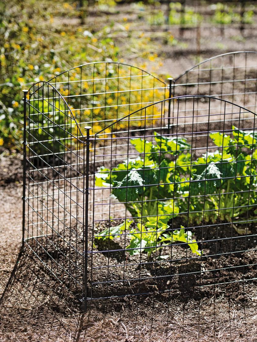 Garden Fencing: Keep Rabbits, Squirrels & Other Animals Away