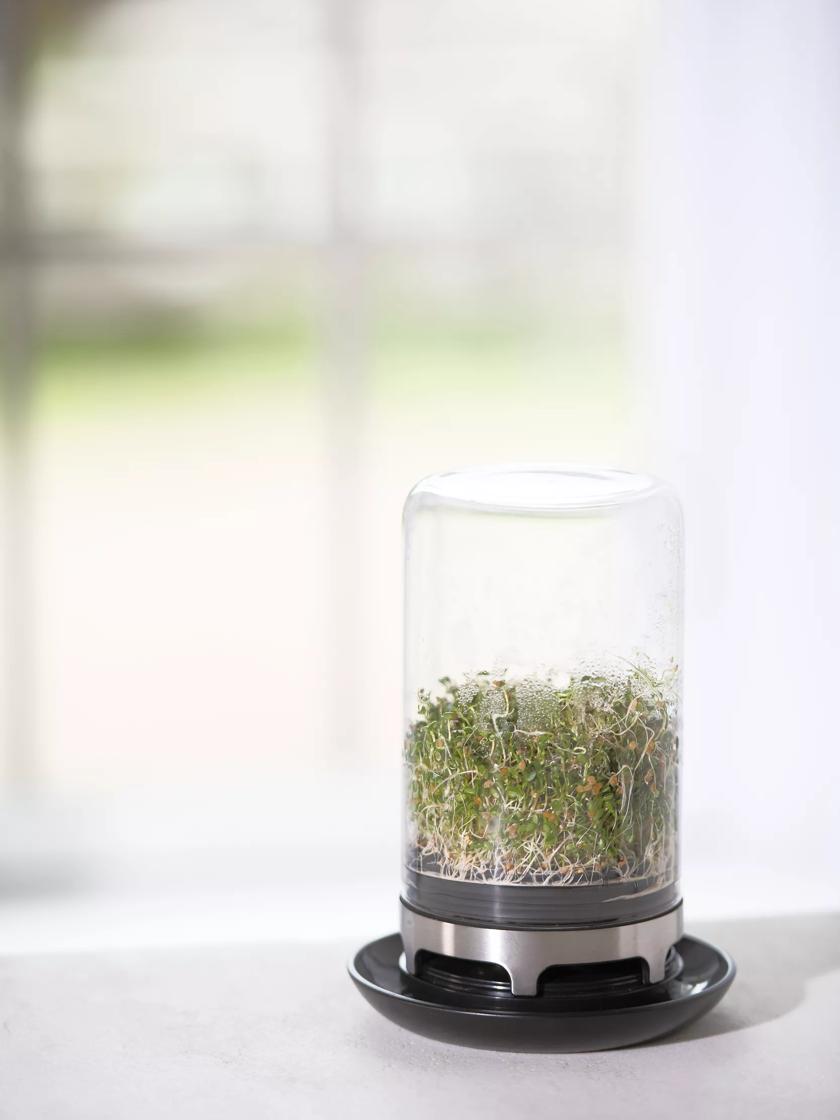 Gefu Glass Sprouting Jar Gardener's Supply