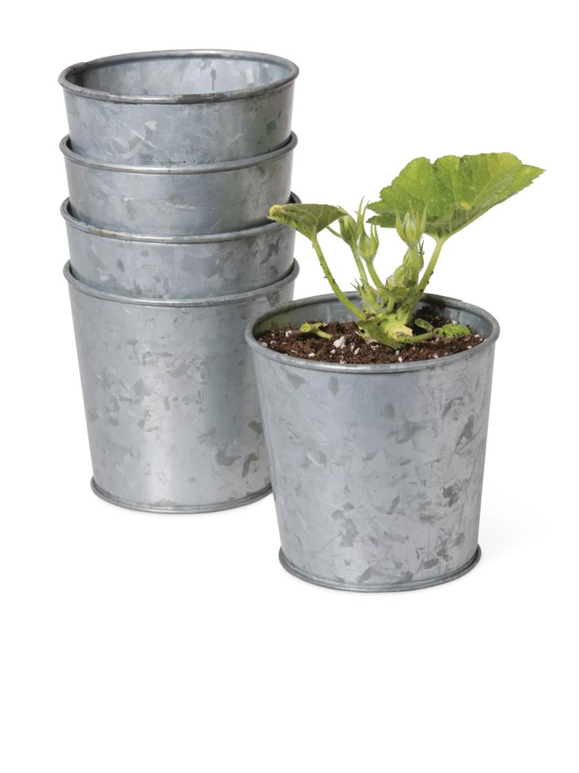 Galvanized Herb Pots Set - Windowsill Planter Kit