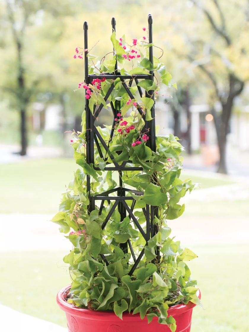 Pyramid rectangular planter w/ three plastic liners