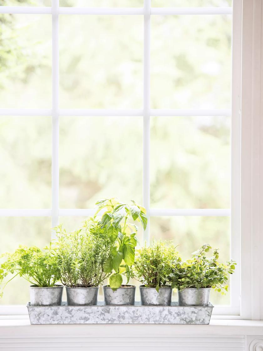 Galvanized Herb Pots Set - Windowsill Planter Kit