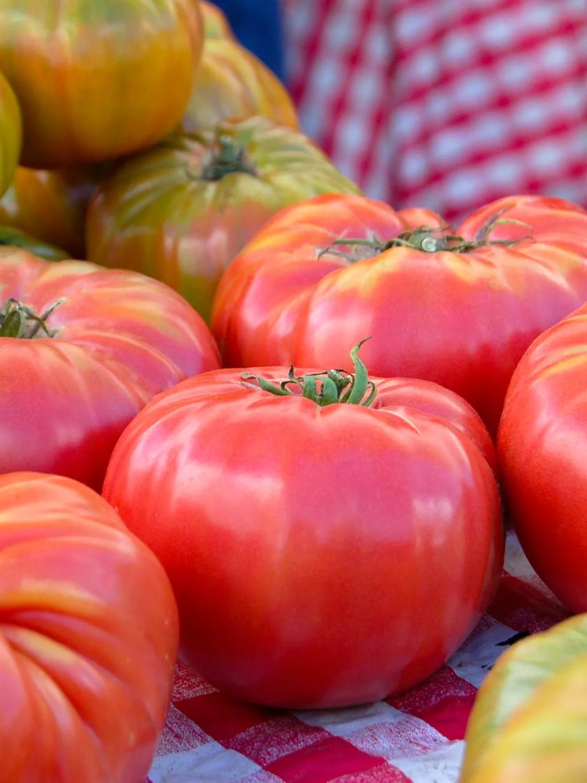 Red Brandywine Tomato Seeds Heirloom Organic 