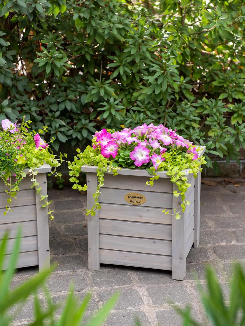 https://assets.gardeners.com/transform/PDP_Main/25eb7e22-005e-4dc3-b378-b340fa6be4cb/8611923_058_vegtrug-square-wooden-planter-14-inch-tif