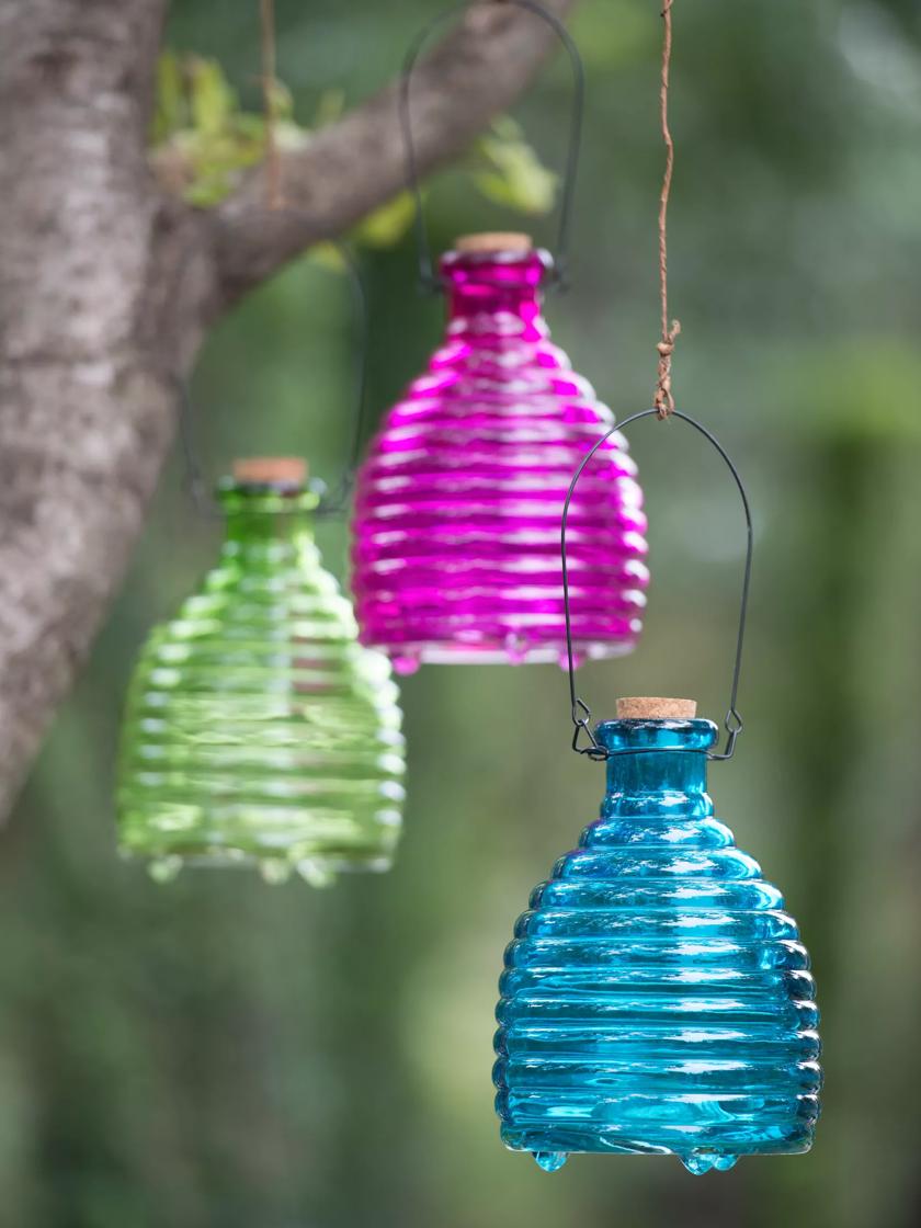 Wasp trap deals