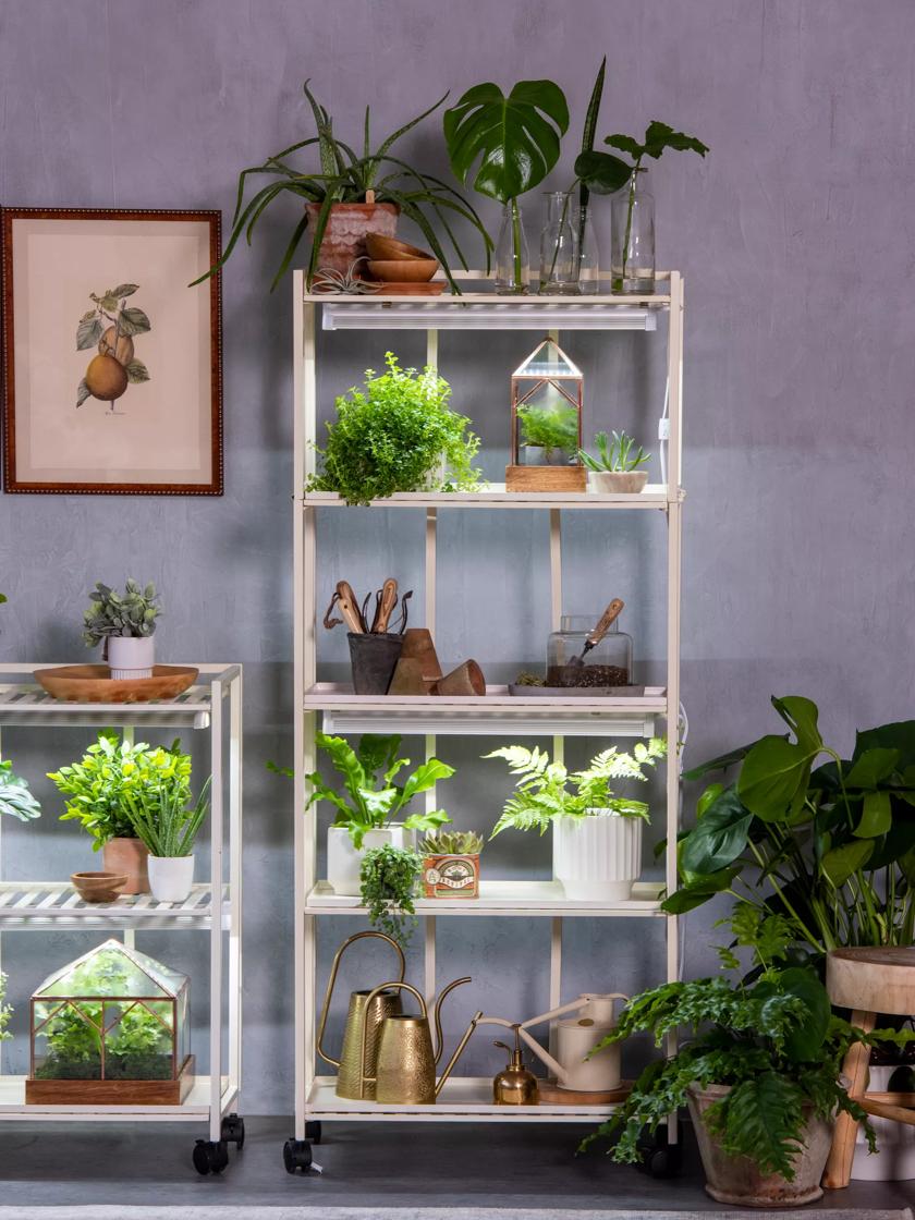 grow lights with shelves