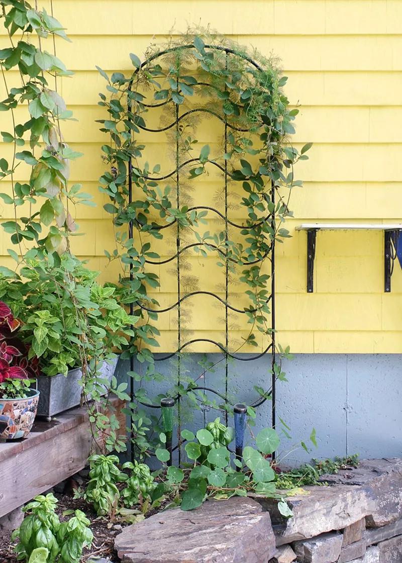 Arch Trellis Ideas for the Kitchen Garden • Gardenary