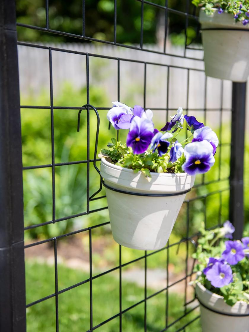 Randolph Hanging Pot Holders for 6" Pots, Set of 3