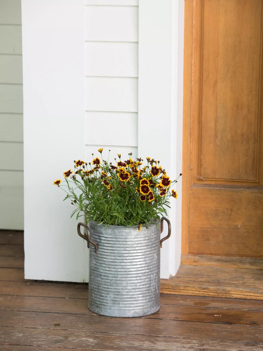 【showgomustgoon】Ramat Planter #263 Mayne Kobi 26in Tall Planter – Mayne Inc.