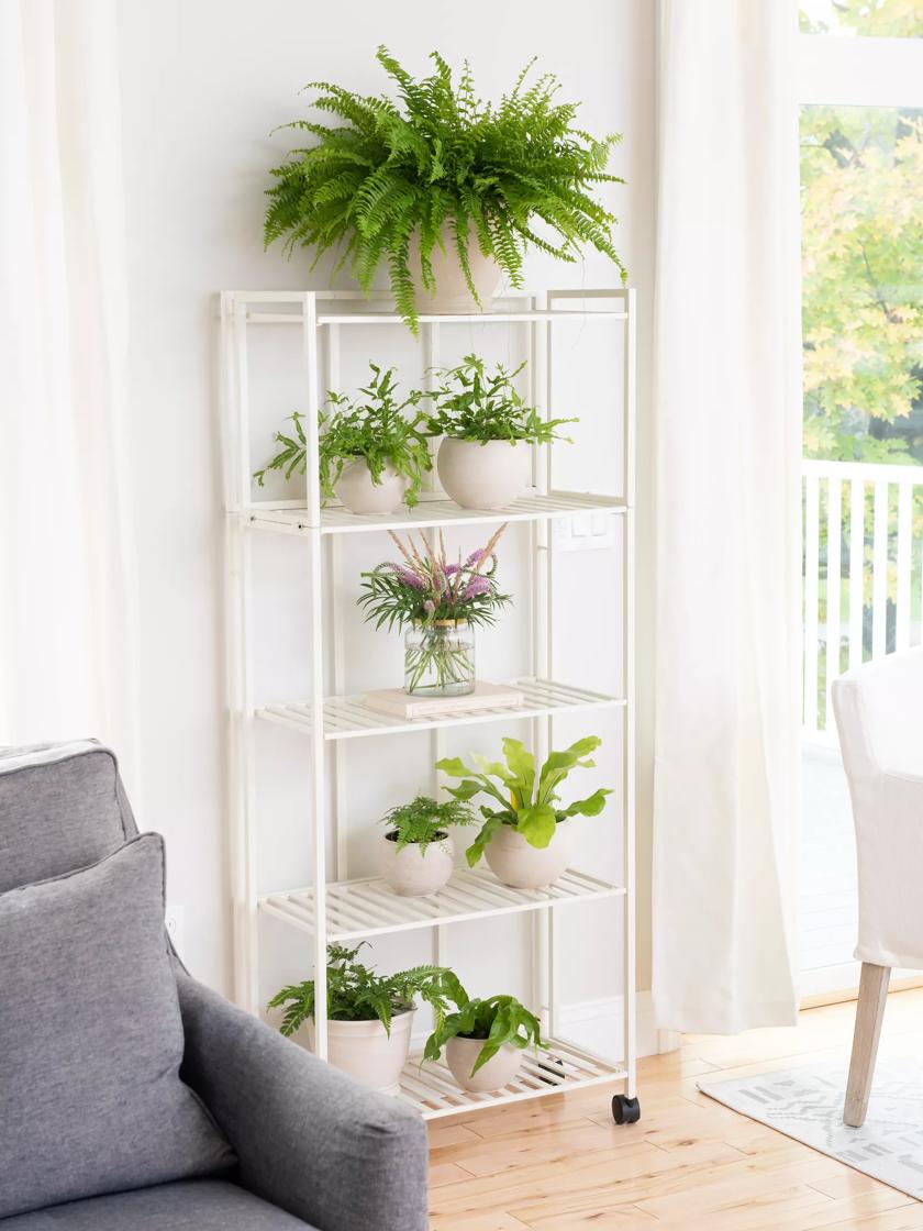 Bamboo Wood 4-Shelf Bookcase Plant Stand Shelving Unit - Pictured