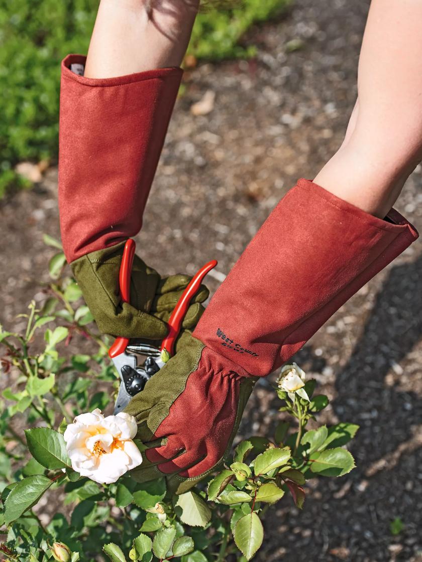 Long cheap gardening gloves