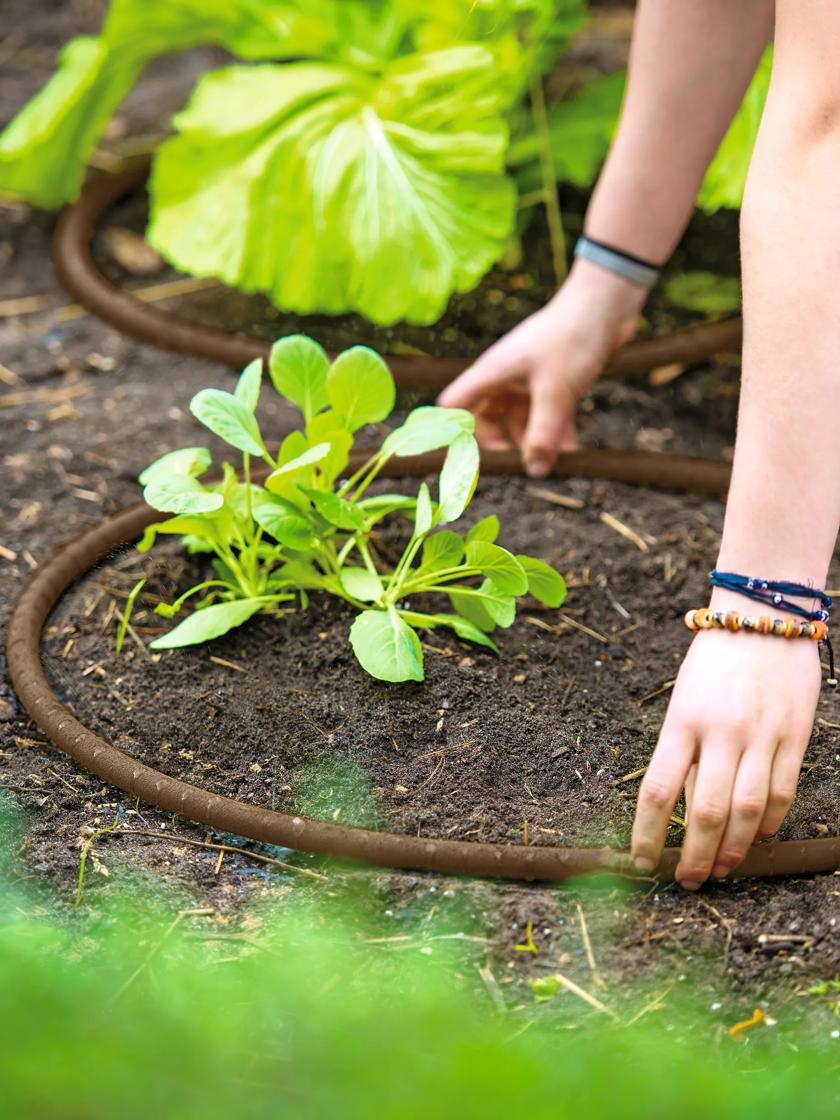 Are Soaker Hoses Safe for Vegetable Gardens  