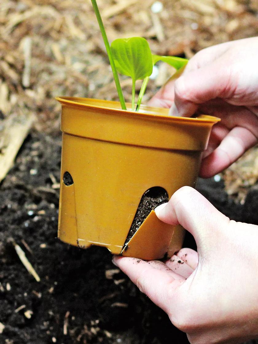 Are Biodegradable Pots Considered Compostable?