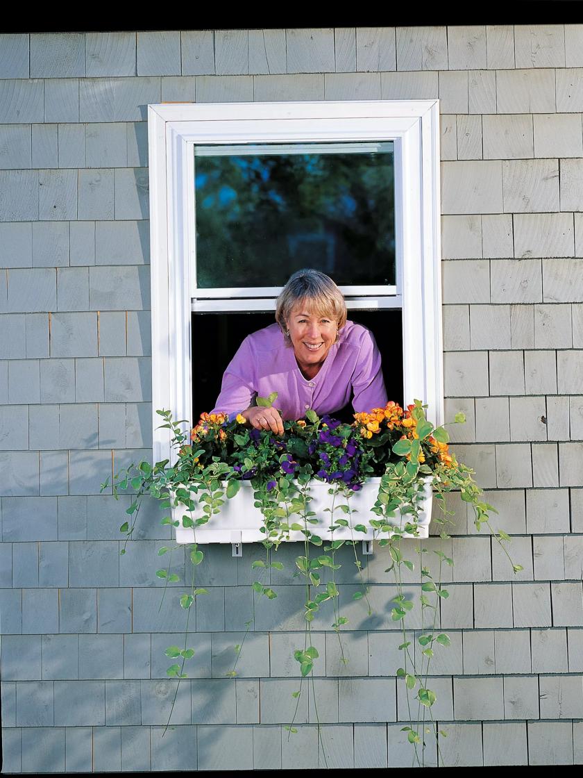 Window planter online box