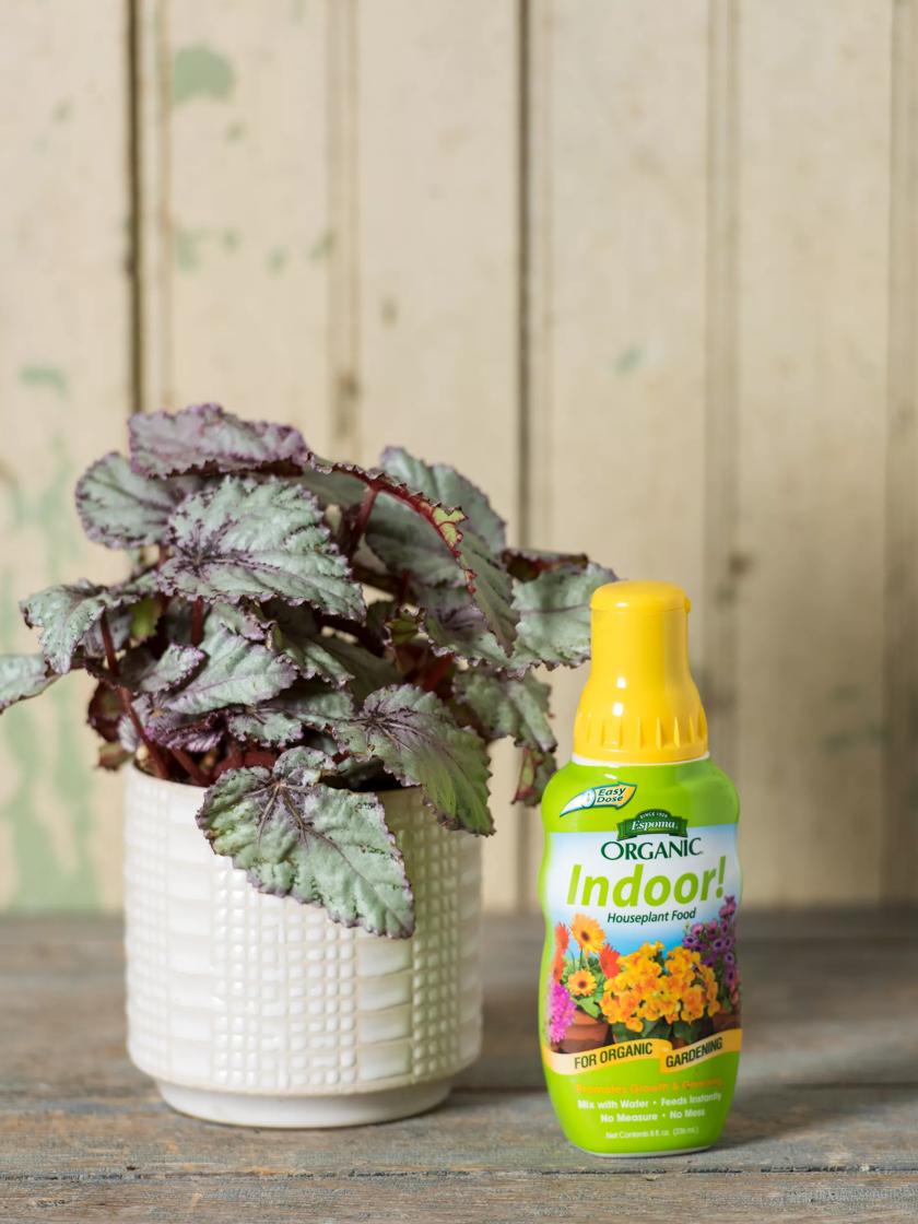 Liquid fertilizer deals for indoor plants