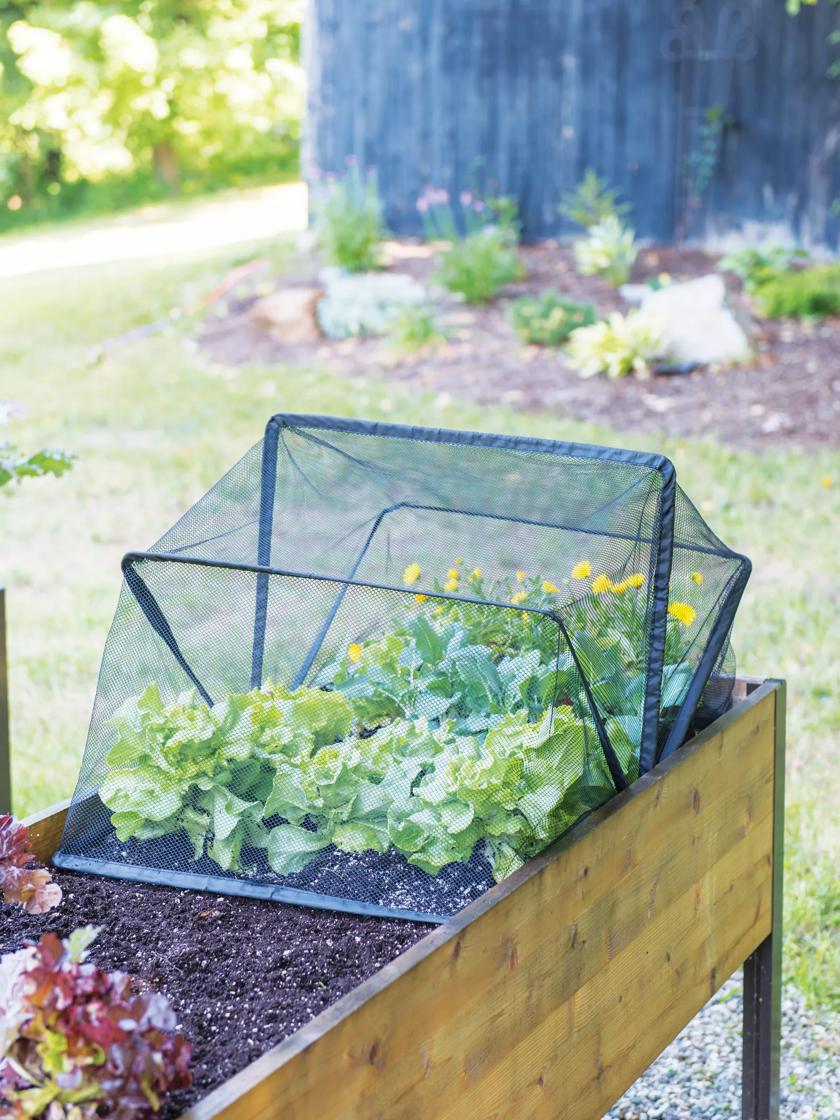 Pop-Up Bird Netting Fruit Cage