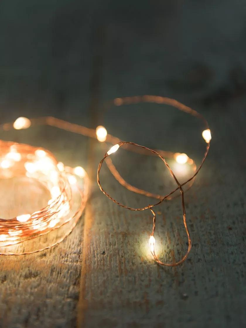 Battery-Operated LED Fairy Lights on Silver Wire