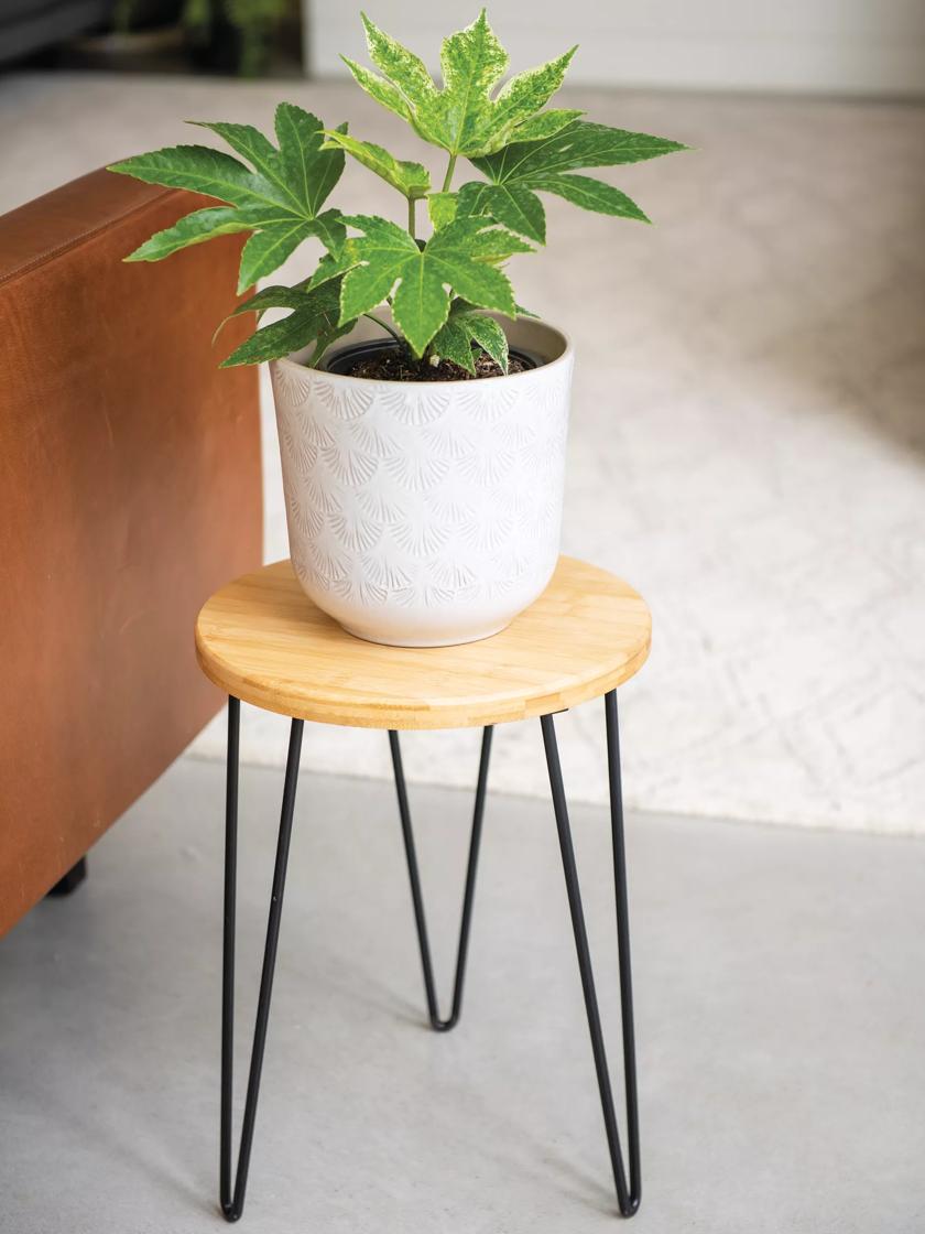 Small side deals table plant stand