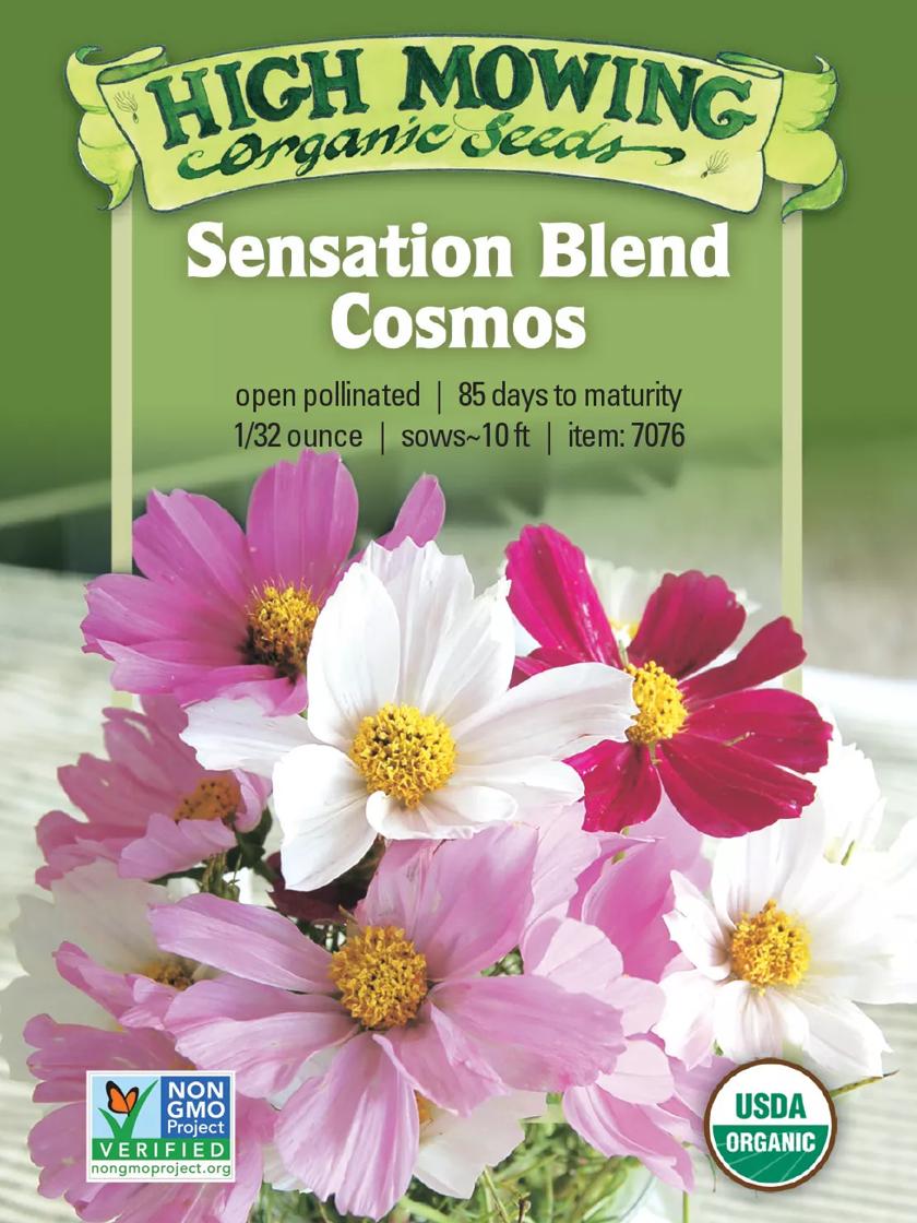 Sensation Blend Cosmos Organic Seeds | Gardener's Supply