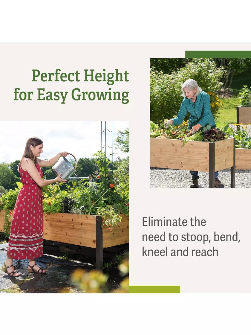 Multiple Mounting Options Make Gardening Easy For You, by Zephyrwatering