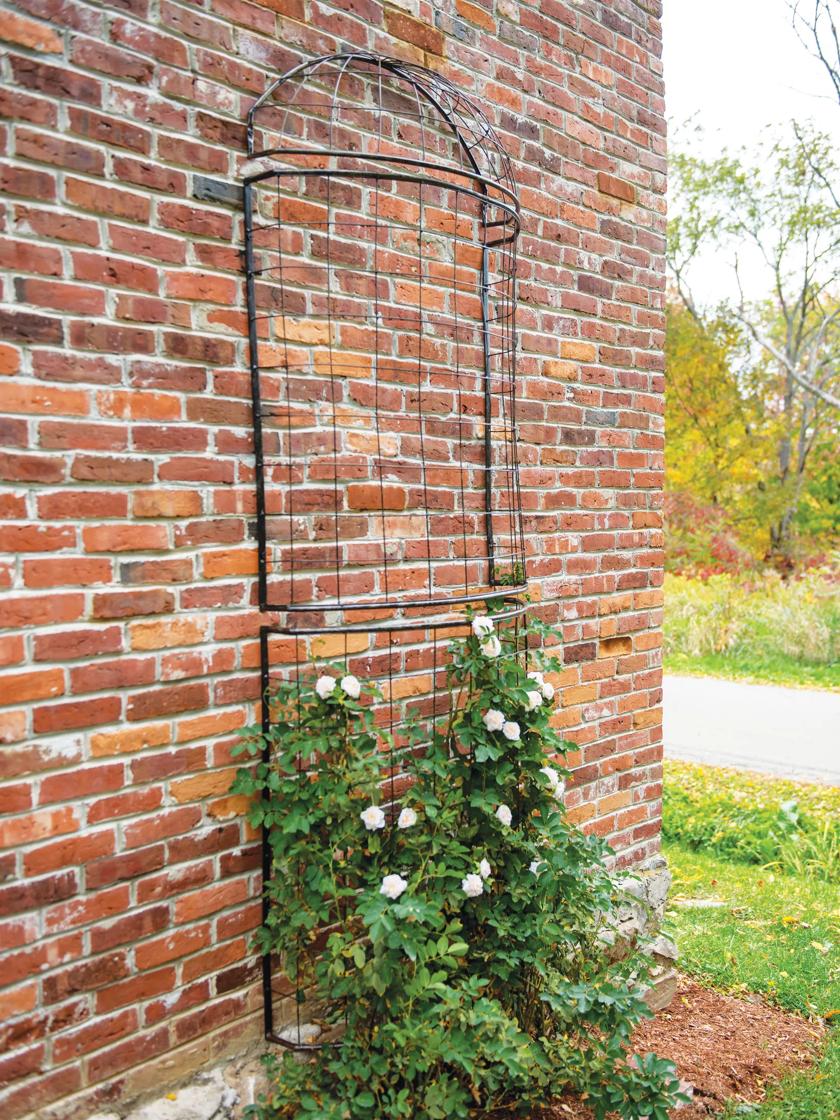 Wall Creeper Plant Trellis Tote Bag