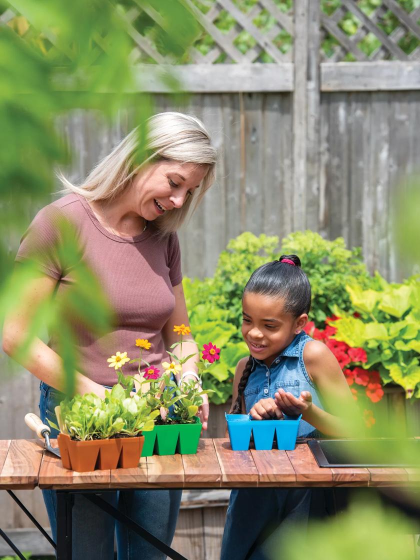 Sili-Seedlings® Seedling Tray 6-Cell