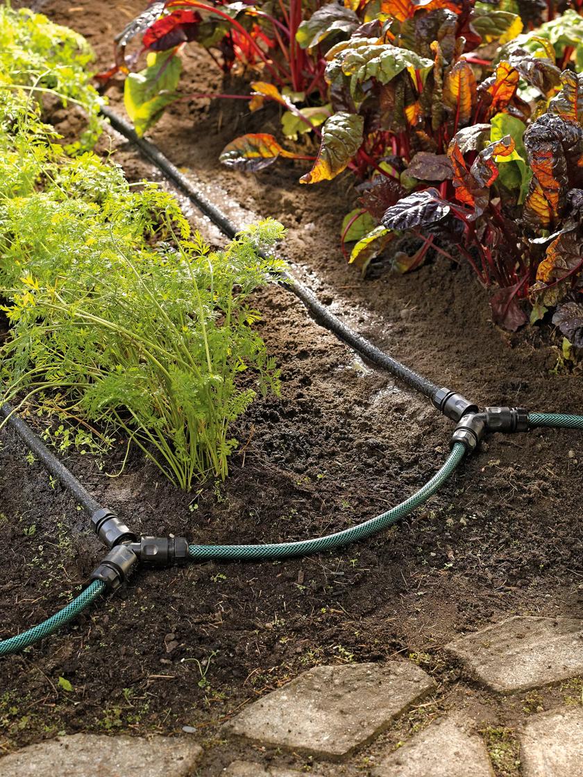 drip irrigation raised bed
