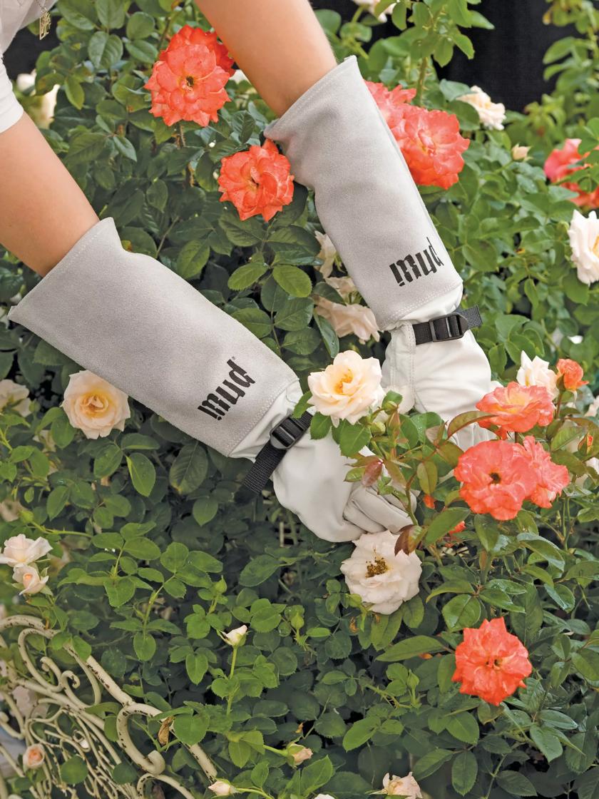 Rose gloves sales