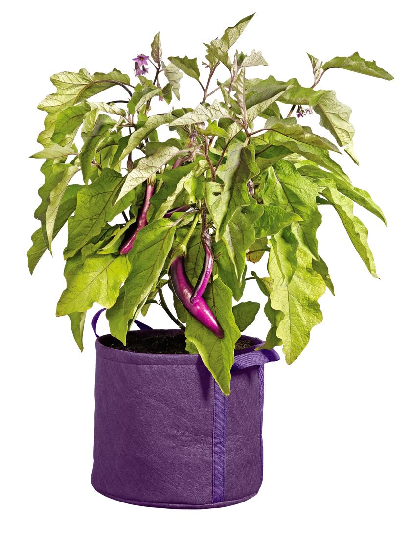 Grow bags: A lightweight, mobile option for gardeners