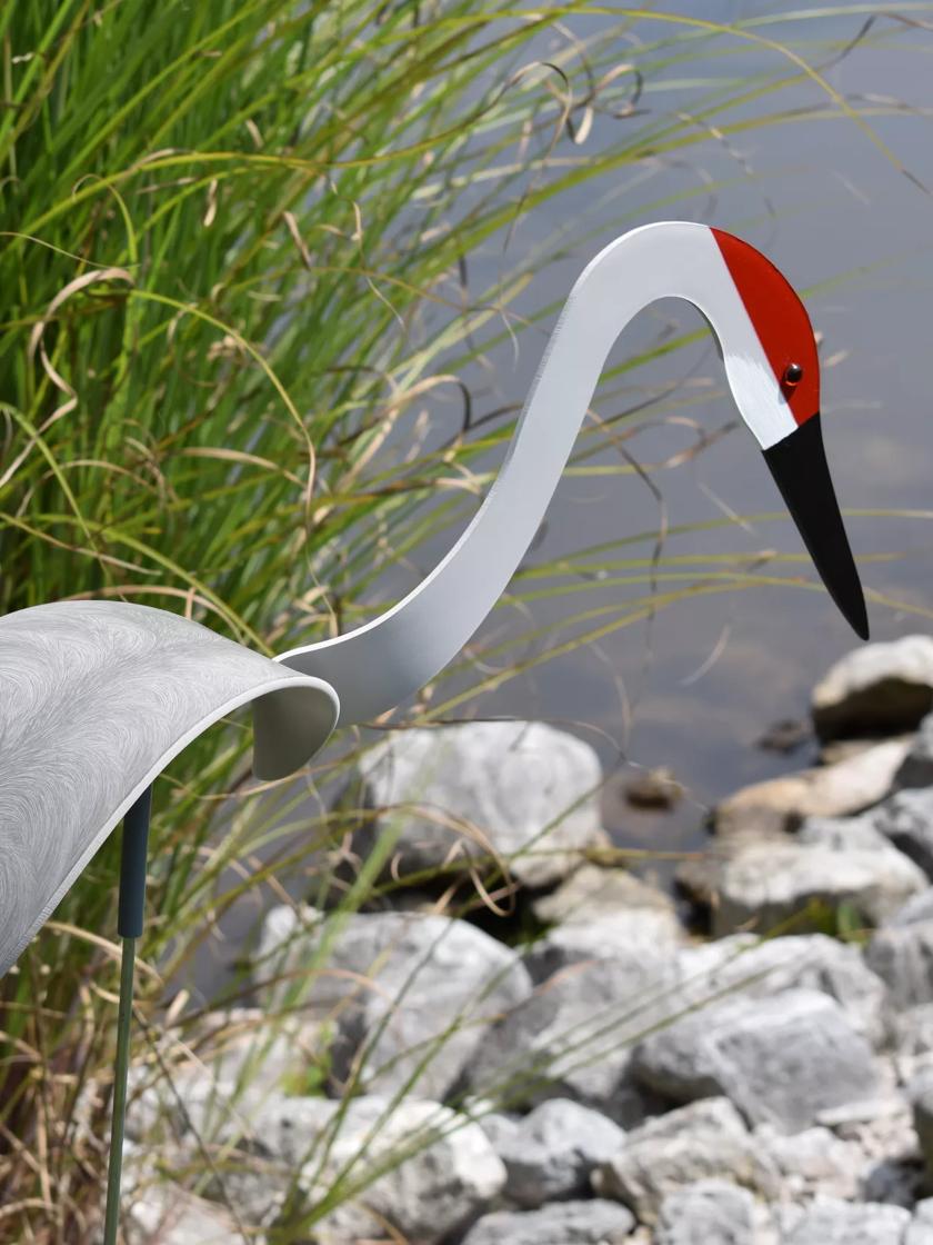 Florida Dancing Birds Sand Hill Crane | Gardeners Supply