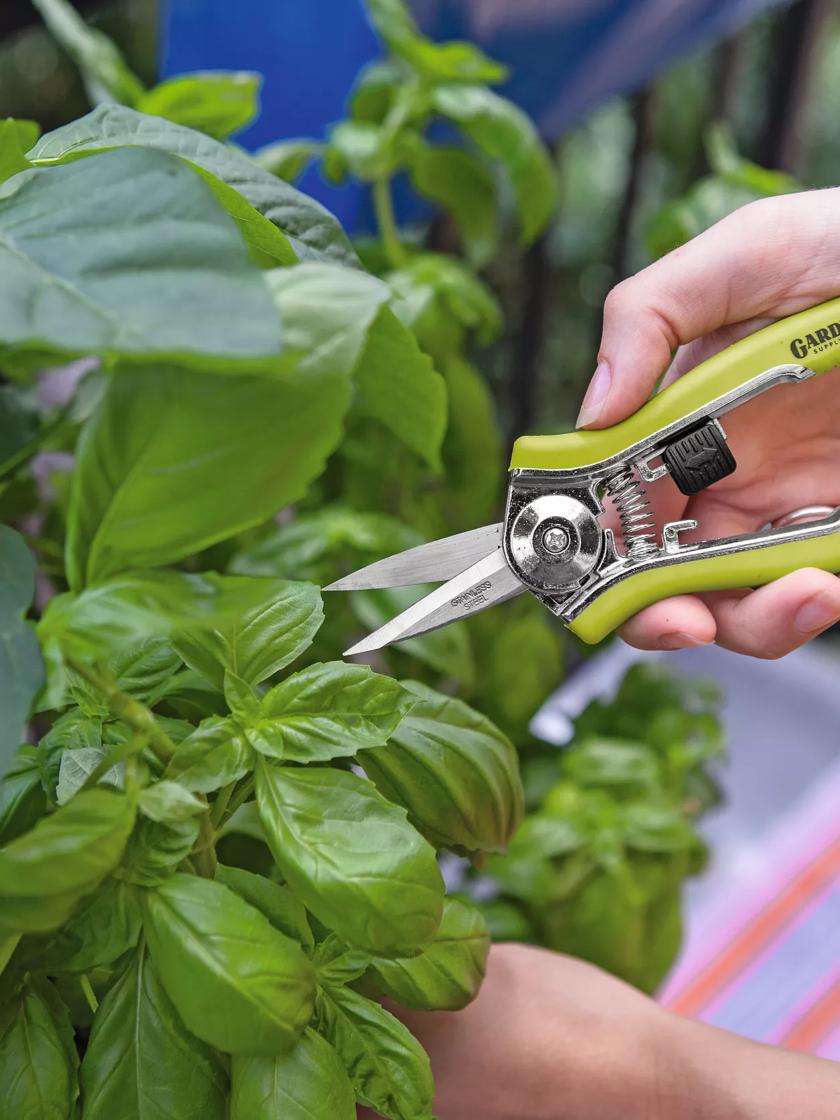 Precision Garden Trimming Scissors Stainless Steel Pruning Shears