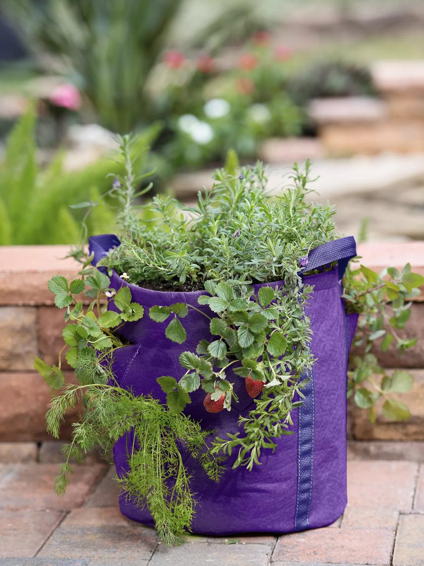 In Color Order: DIY Felt Grow Bags