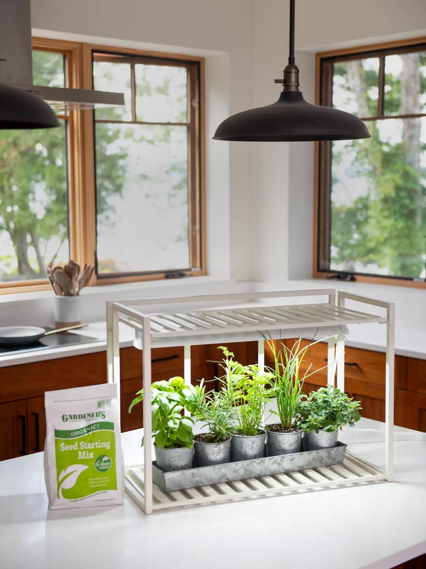 indoor herb garden kit with light