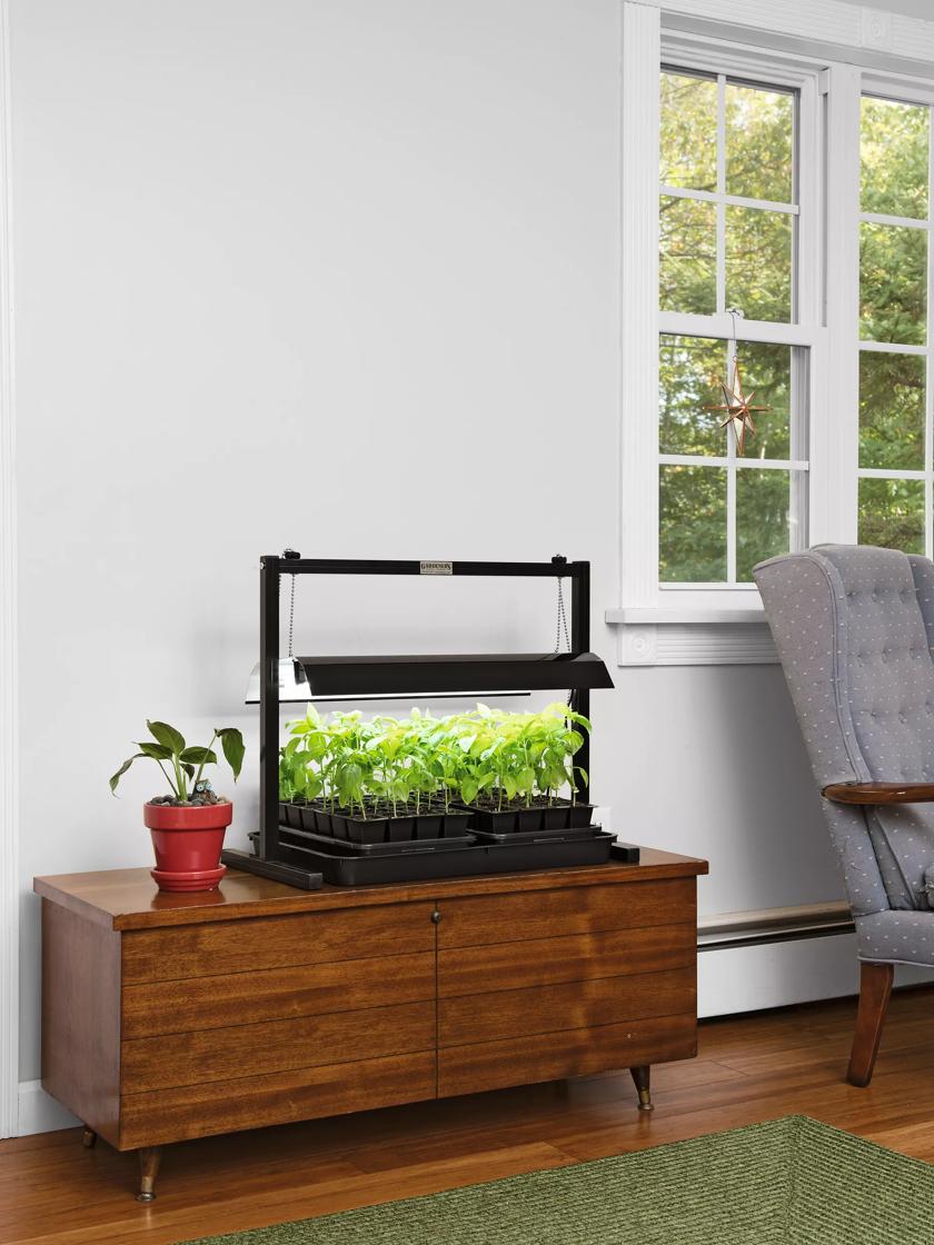 Indoor store table garden