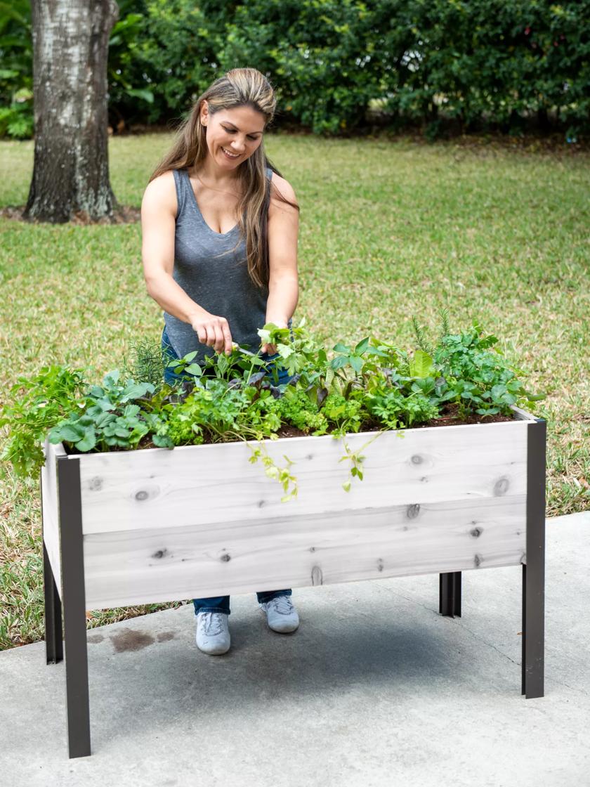SelfWatering Elevated Cedar Planter Box EcoStain 2x4