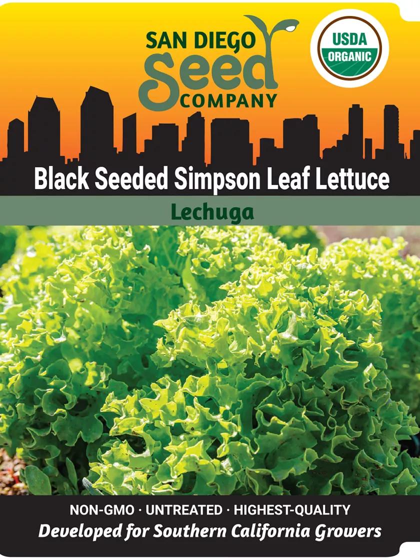 Black Seeded Simpson Leaf Lettuce Organic Seeds Gardener's Supply