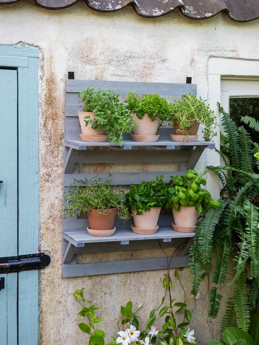 Wall discount herb rack